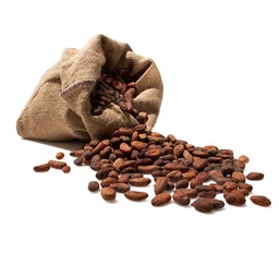 Trinitario cocoa beans