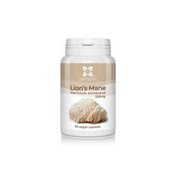 Hericium extract of Lion's mane