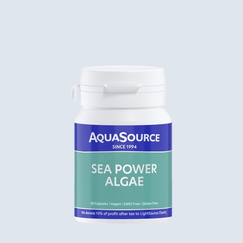 Algae - Sea Energy from AquaSource